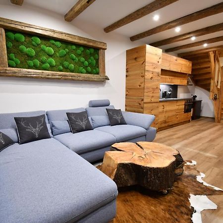 Chalet Apartments Maštal Železná Ruda Extérieur photo