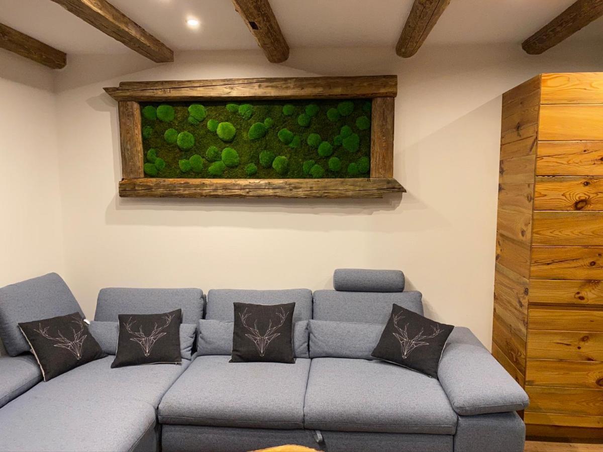 Chalet Apartments Maštal Železná Ruda Extérieur photo